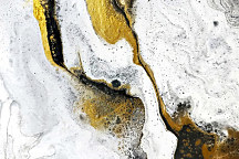 Obraz Krása je v kontraste 1969